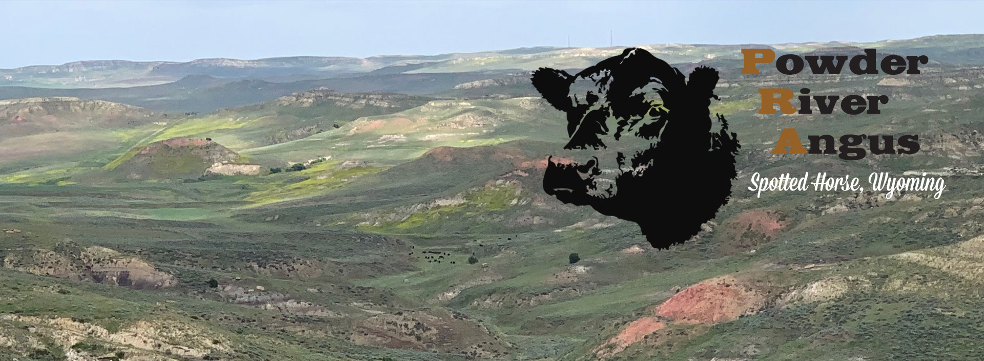 Powder River Angus
